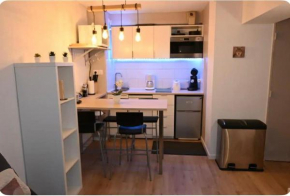 Appartement cosy proche des pistes de ski